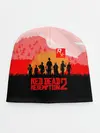 Детская шапка / RED DEAD REDEMPTION 2