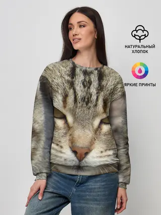 Женский свитшот / Кот