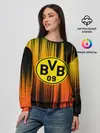 Женский свитшот / Borussia