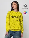 Женский свитшот / TWENTY ONE PILOTS / 21 PILOTS