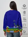 Женский свитшот / Sonic.