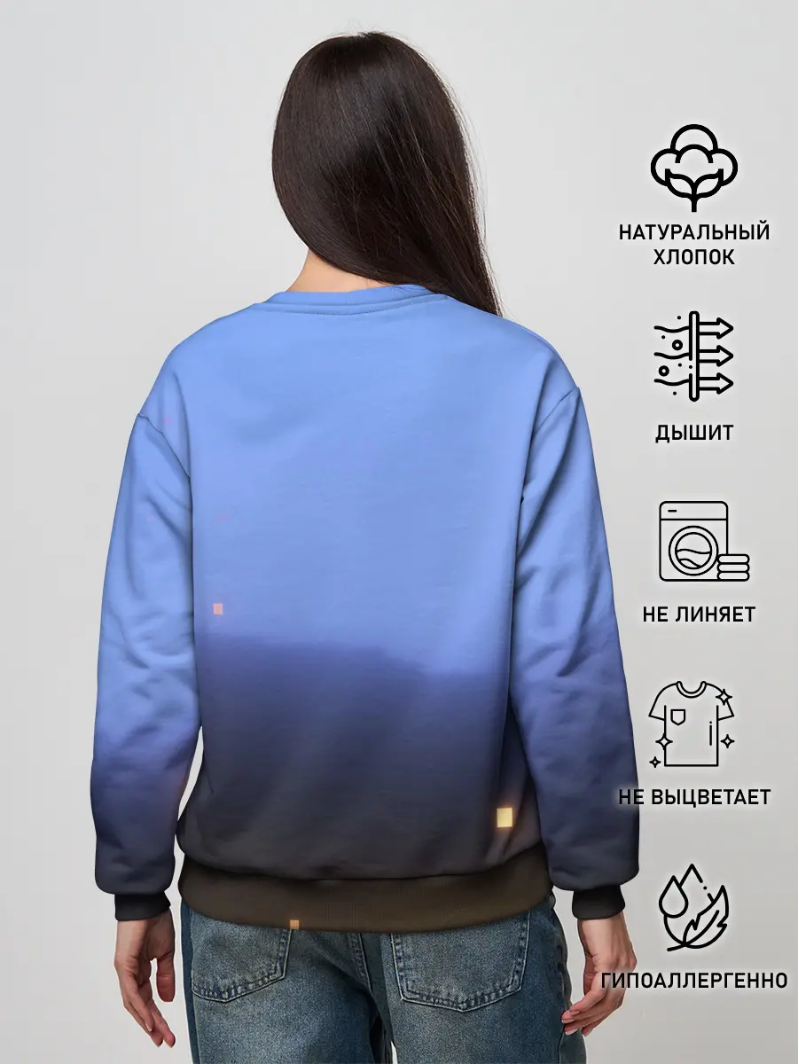 Женский свитшот / minecraft