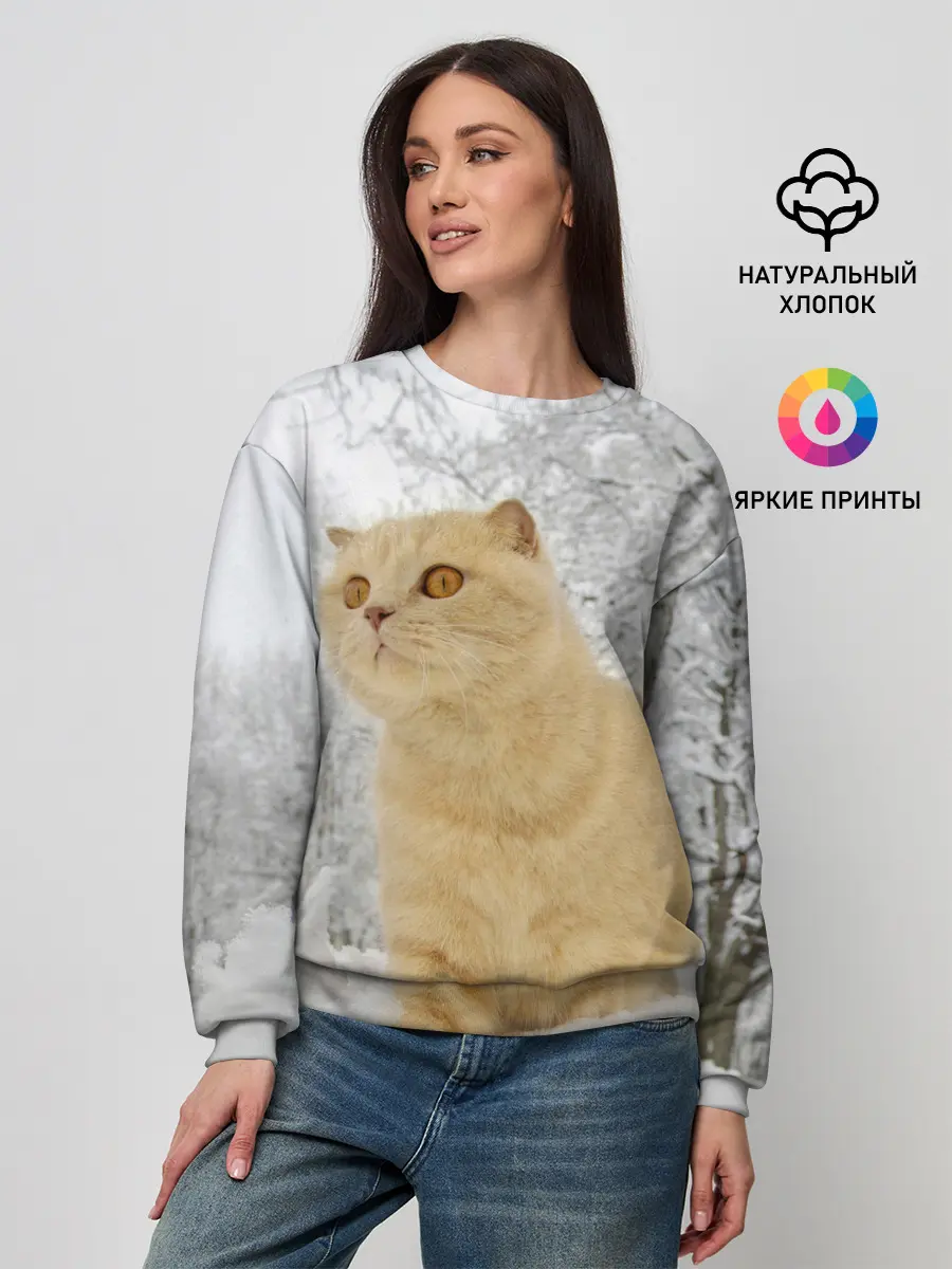 Женский свитшот / Кот и снег