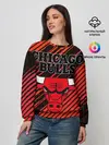 Женский свитшот / Chicago Bulls
