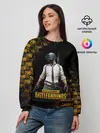 Женский свитшот / PUBG