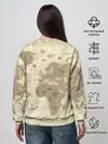 Женский свитшот / Карта мира
