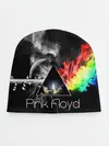 Детская шапка / Pink Floyd