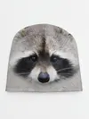 Детская шапка / Енот