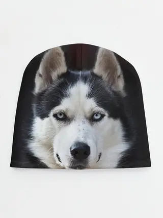Детская шапка / Хаски