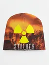 Детская шапка / S.T.A.L.K.E.R Дима