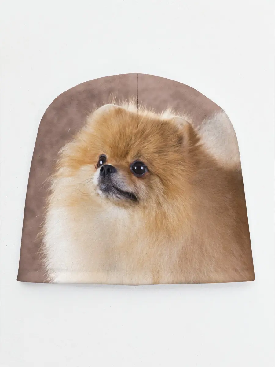 Детская шапка / Шпитс