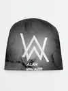 Детская шапка / ALAN WALKER