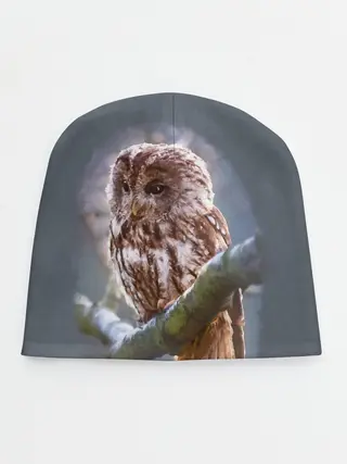 Детская шапка / Сова