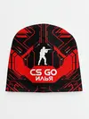 Детская шапка / Counter Strike-Илья