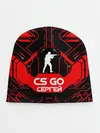 Детская шапка / Counter Strike-Сергей