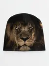 Детская шапка / Лев