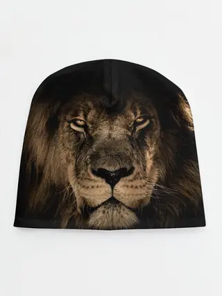 Детская шапка / Лев