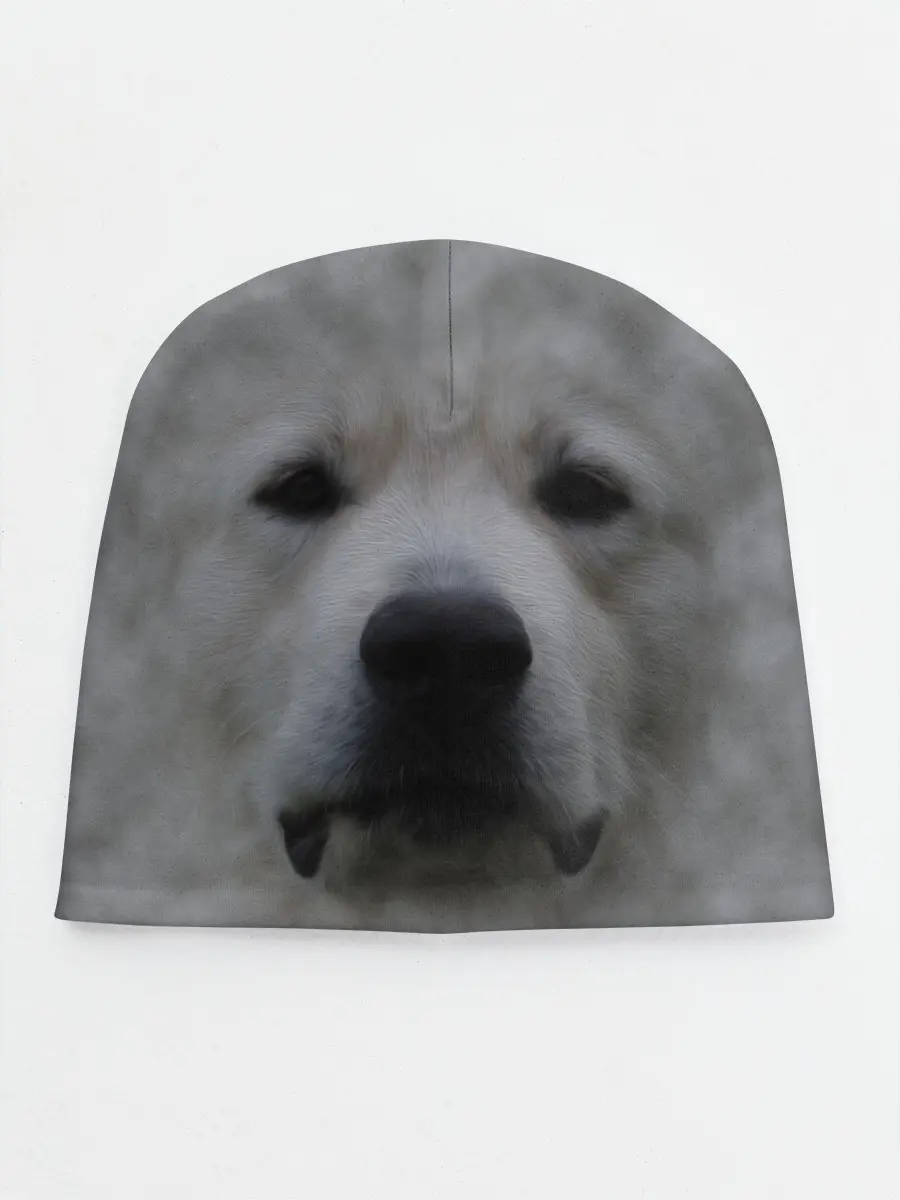 Детская шапка / Лабрадор