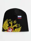 Детская шапка / Флаг и Герб России