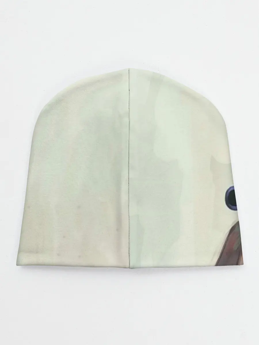 Детская шапка / Sakata Gintoki