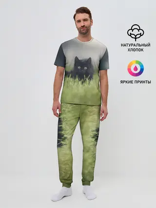Мужская пижама с брюками / черный кот на лугу