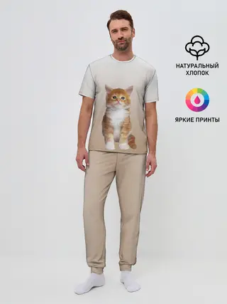 Мужская пижама с брюками / бело-рыжий котенок реализм