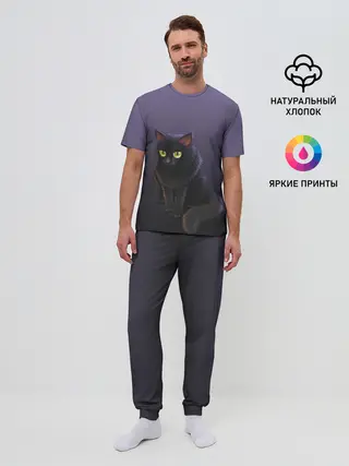 Мужская пижама с брюками / черный кот на фиолетовом