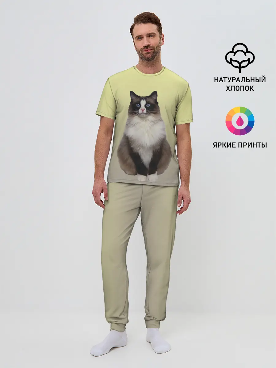 Мужская пижама с брюками / персидская пушистая кошка
