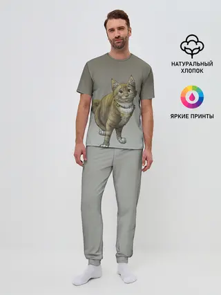 Мужская пижама с брюками / полосатый уличный кот