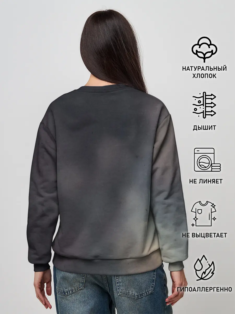 Женский свитшот / Devil of the Rhine