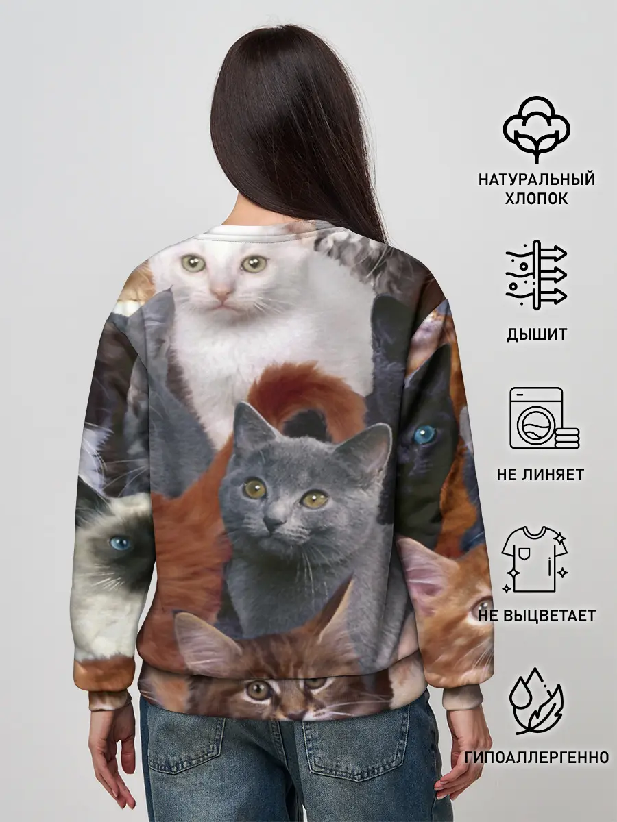 Женский свитшот / КОТЯТКИ