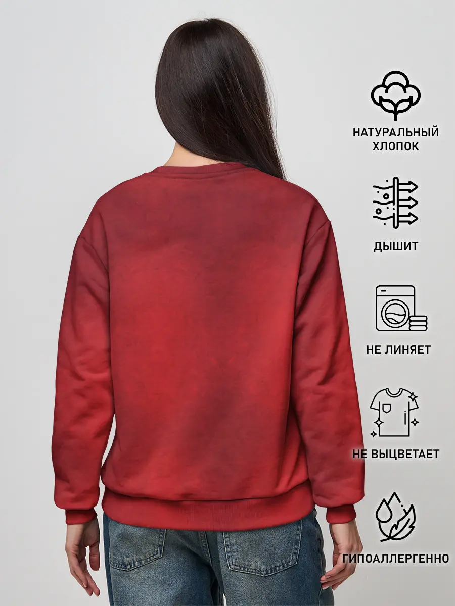 Женский свитшот / Hollow Knight