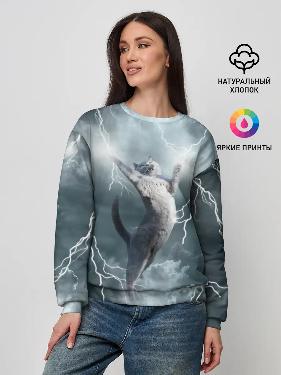 Женский свитшот / Грозовой кошак.