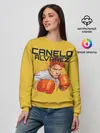 Женский свитшот / Canelo Alvarez