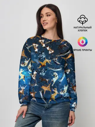 Женский свитшот / Космические коты