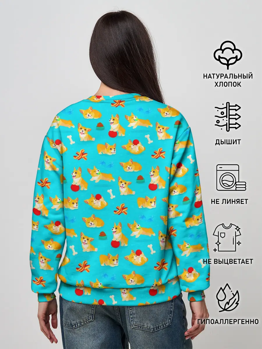 Женский свитшот / Корги