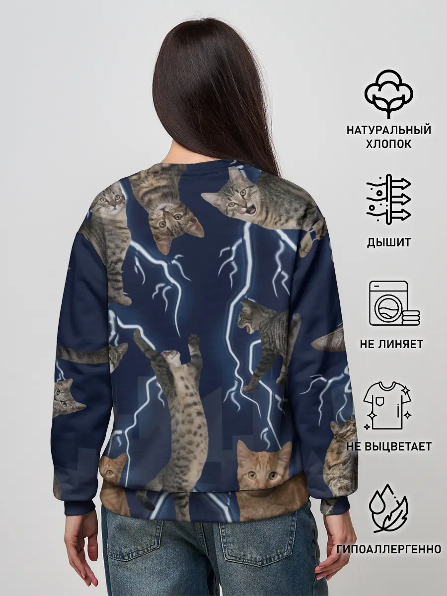 Женский свитшот / Коты