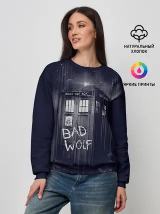 Женский свитшот / Doctor Who