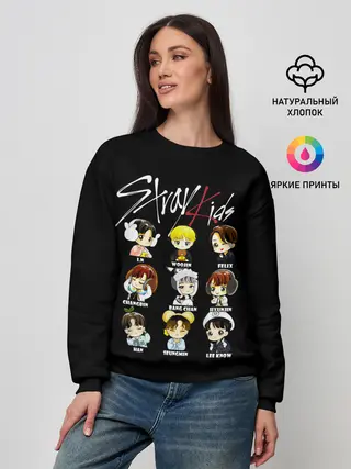 Женский свитшот / Stray Kids