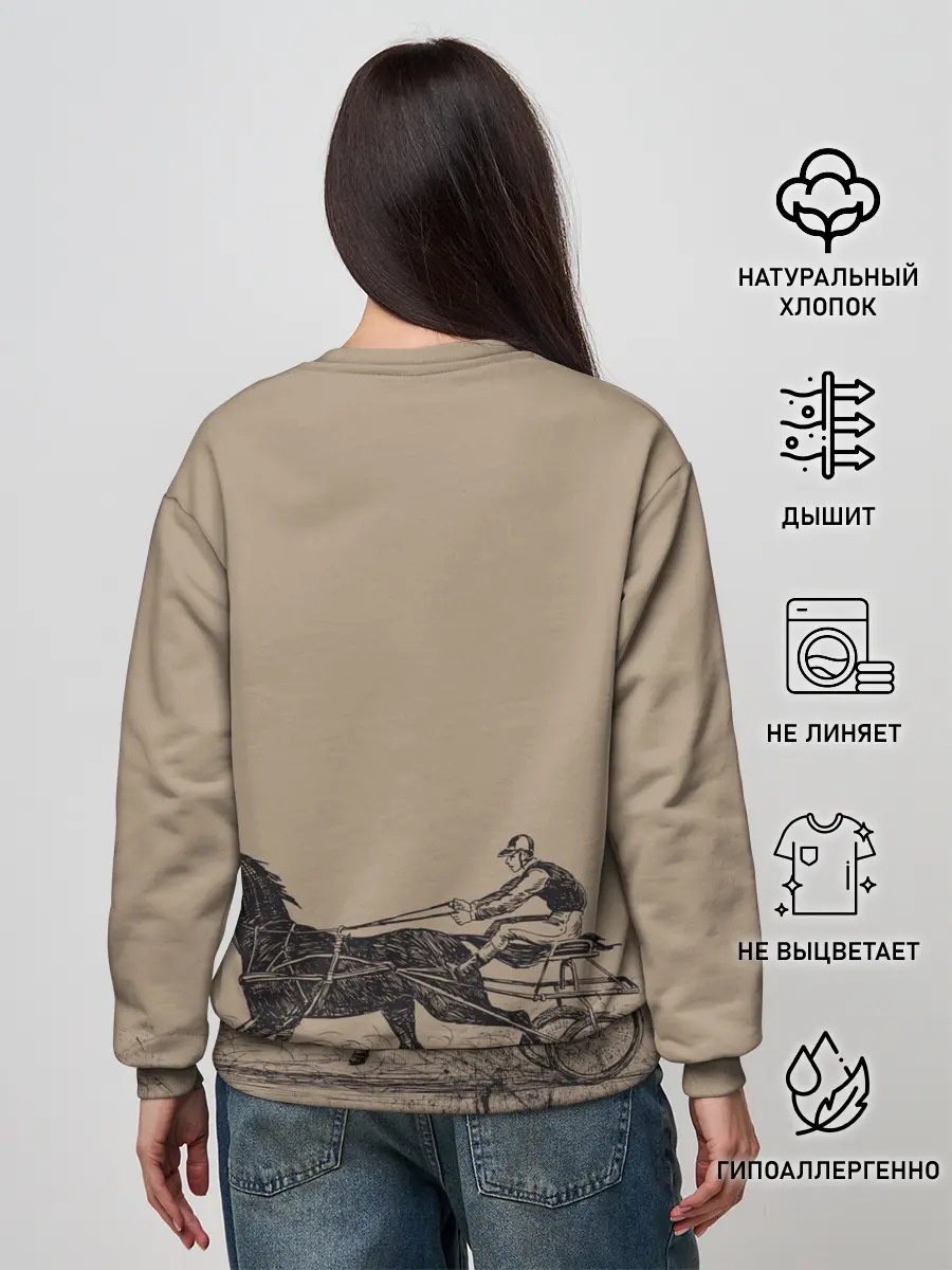 Женский свитшот / лошадь с колесницей