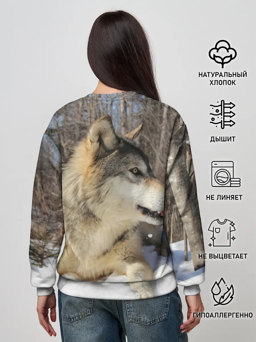 Женский свитшот / Волк лежит на снегу