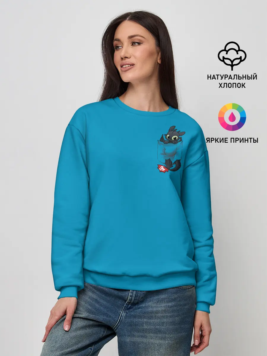 Женский свитшот / Как приручить дракона