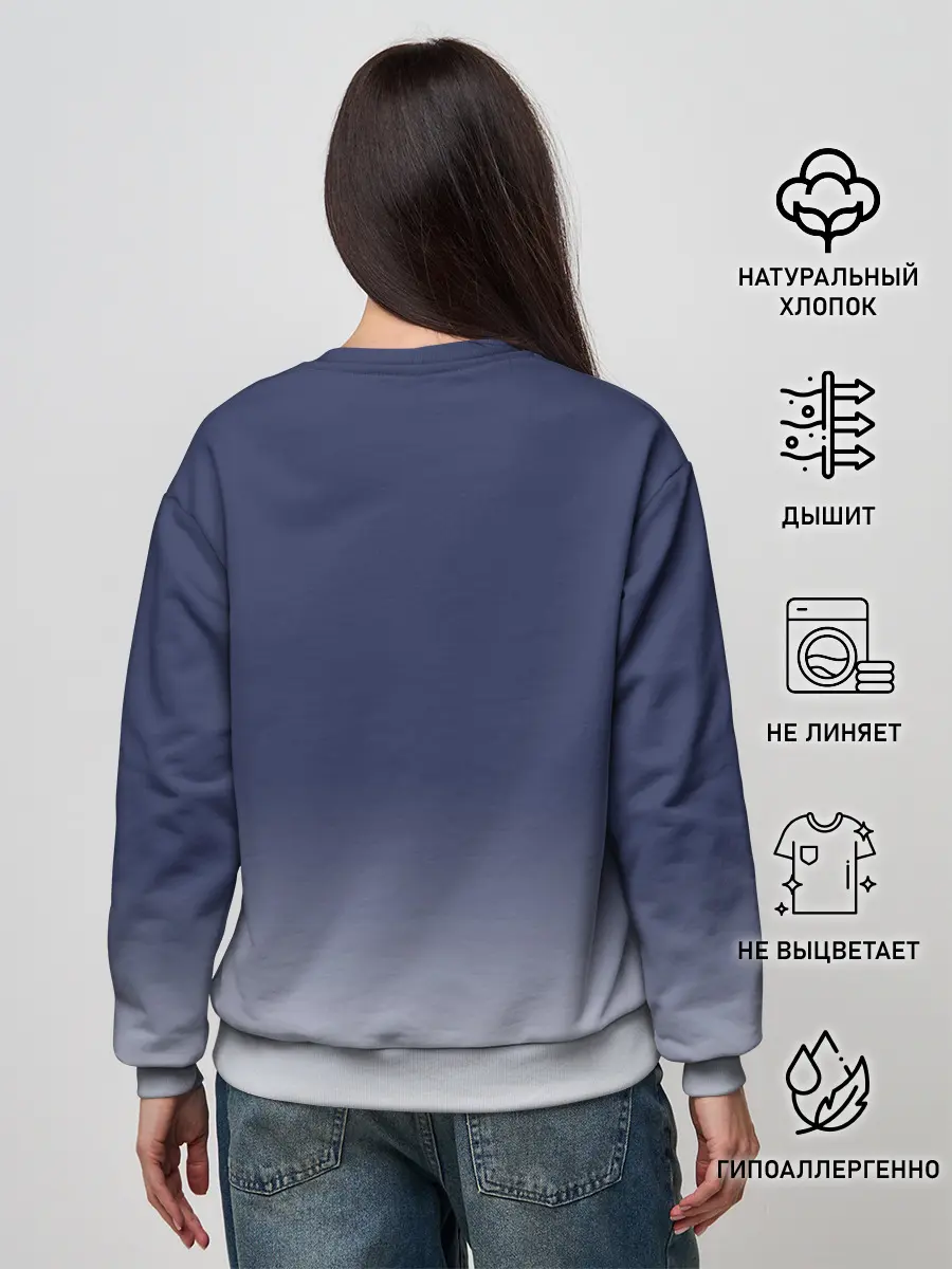 Женский свитшот / Биплан