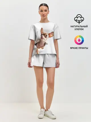 Женская пижама с шортами / Чихуахуа из бумаги вылазит