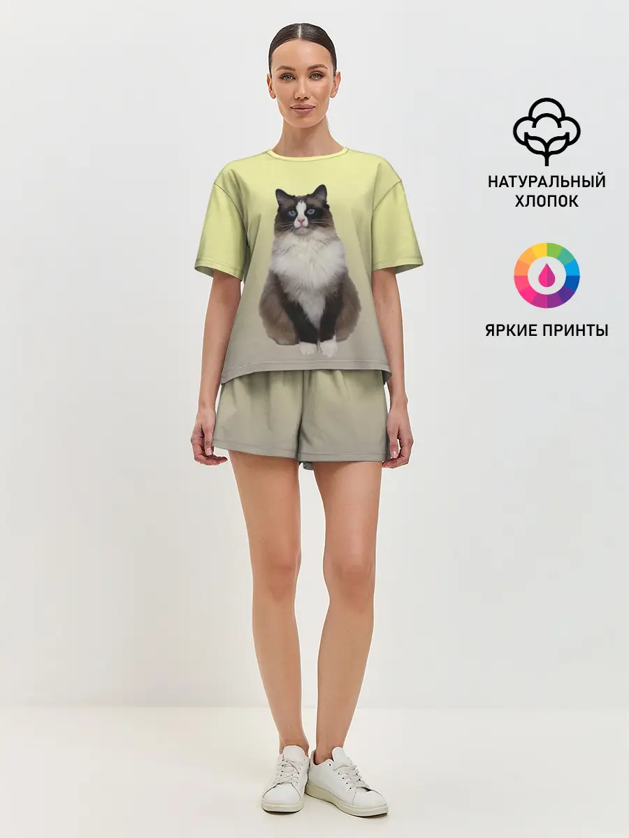 Женская пижама с шортами / персидская пушистая кошка