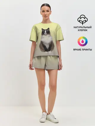 Женская пижама с шортами / персидская пушистая кошка