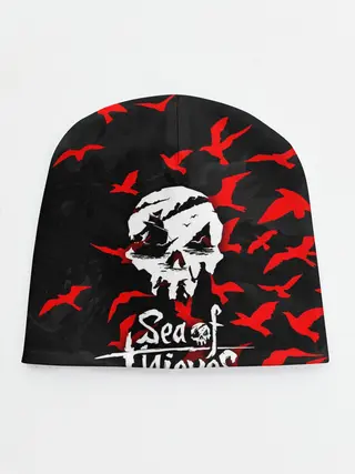 Детская шапка / SEA OF THIEVES