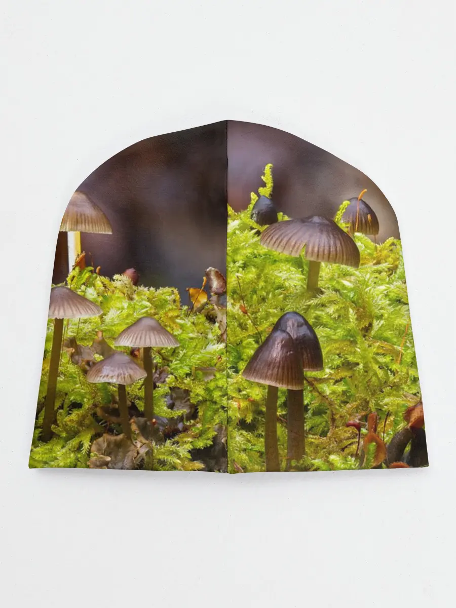 Детская шапка / Мох