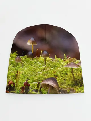 Детская шапка / Мох