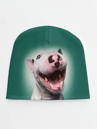 Детская шапка / Bully